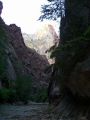 Looking up the canyon at sunset.jpg